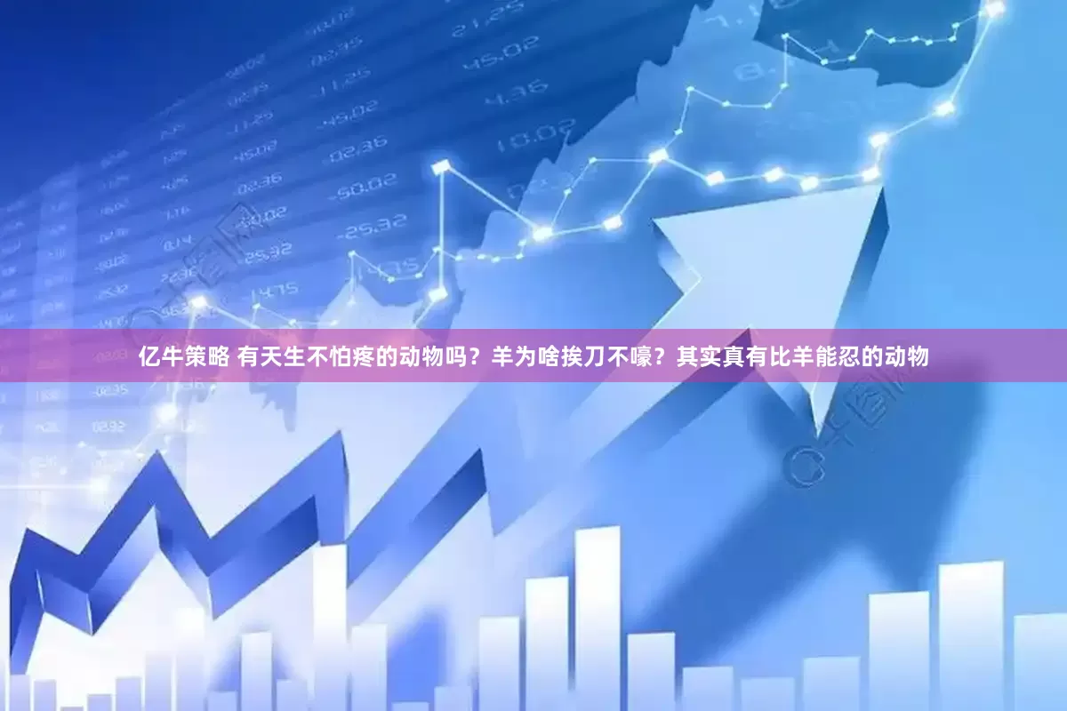 亿牛策略 有天生不怕疼的动物吗？羊为啥挨刀不嚎？其实真有比羊能忍的动物