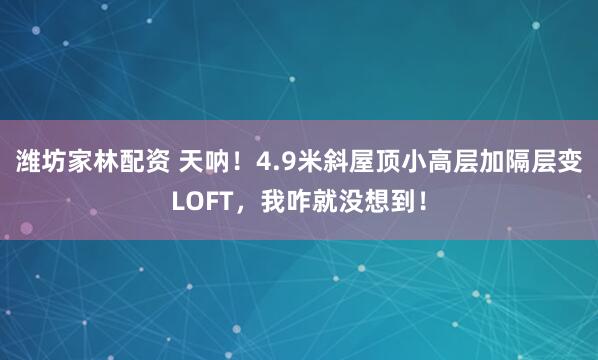 潍坊家林配资 天呐！4.9米斜屋顶小高层加隔层变LOFT，我咋就没想到！