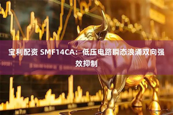 宝利配资 SMF14CA：低压电路瞬态浪涌双向强效抑制